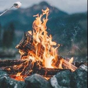 Meet your Posher, Adrianna